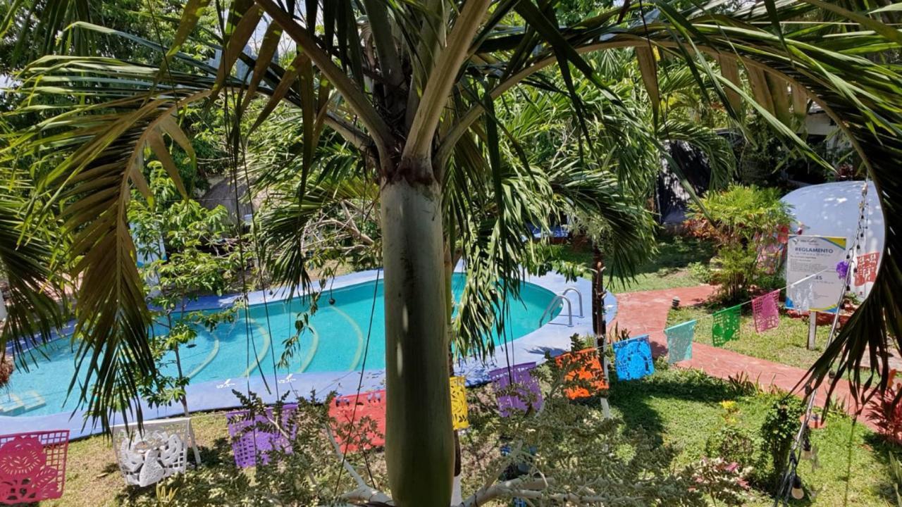 Cabanas Colibri Bacalar Exterior photo