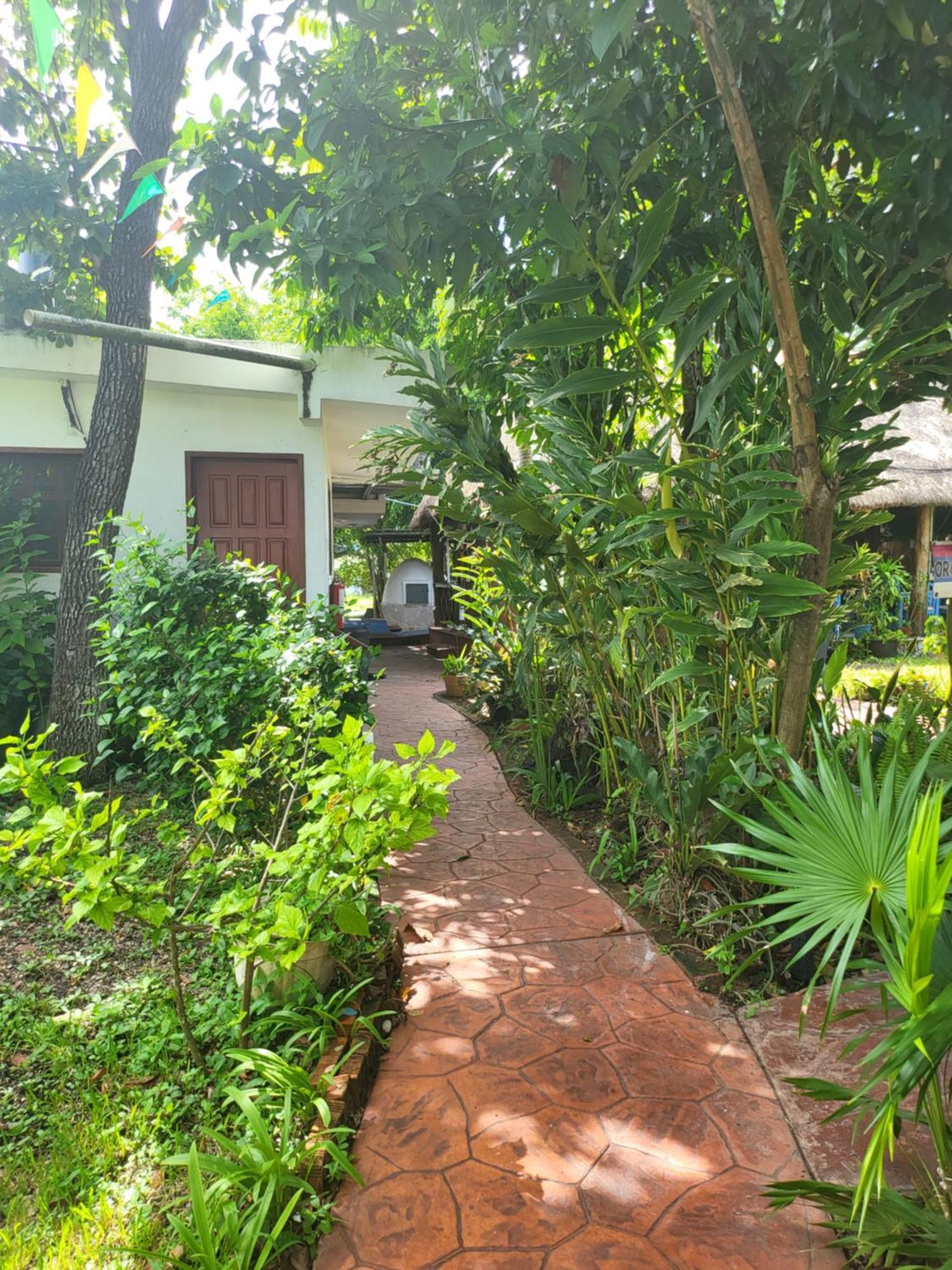 Cabanas Colibri Bacalar Exterior photo