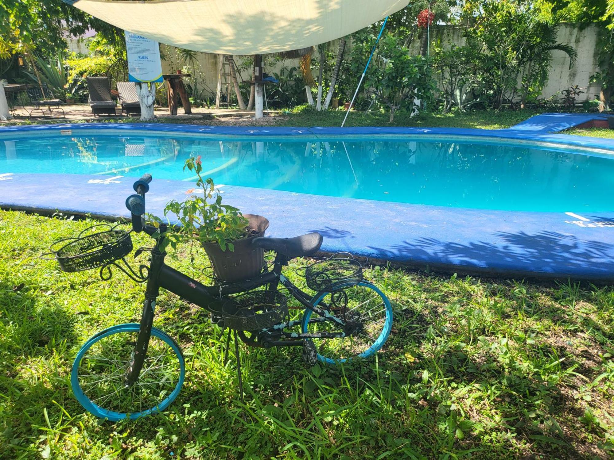 Cabanas Colibri Bacalar Exterior photo