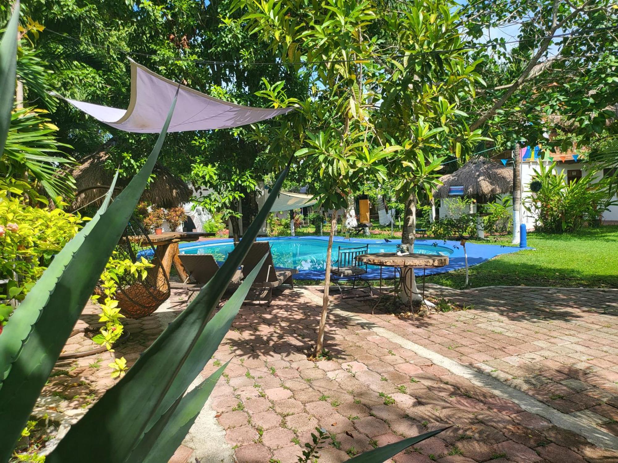 Cabanas Colibri Bacalar Exterior photo